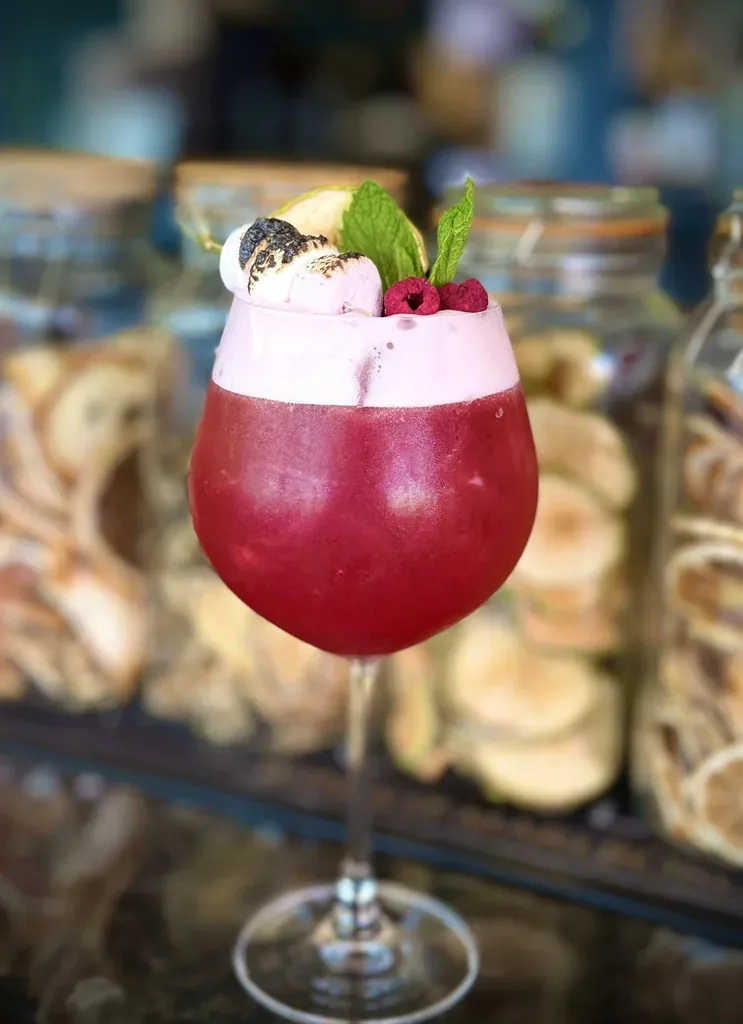 Pink cocktail garnished with a dried citrus slice